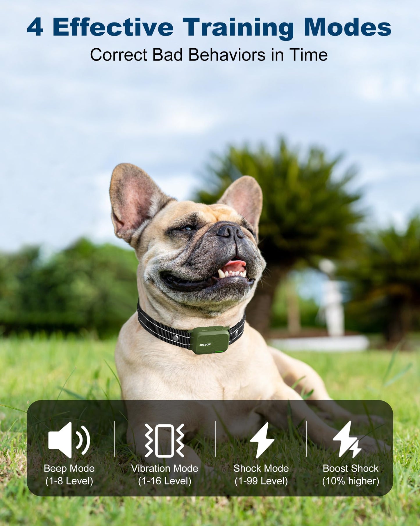 Remote Dog Training Collar