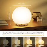Night Light