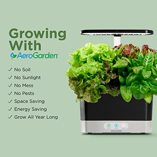 Hydroponic Garden