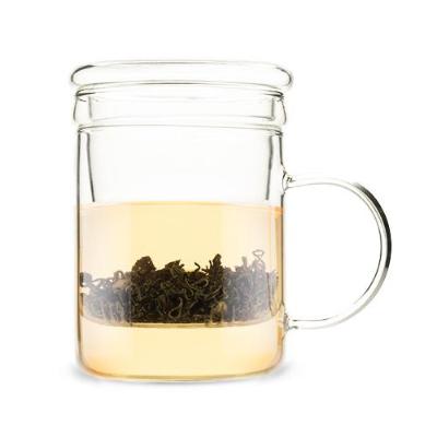 Glass Tea Infuser Mug - Spoiled Store 