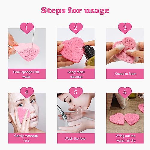 Heart Compressed Facial Sponges