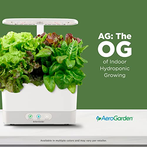 Hydroponic Garden