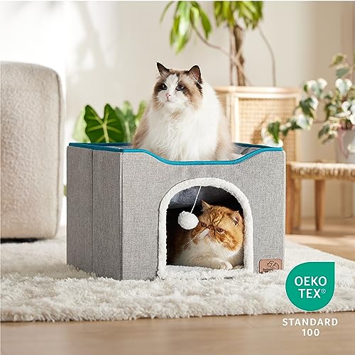 Cat Beds for Indoor