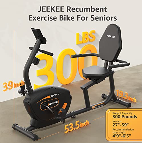 Seniors Exercise Bike