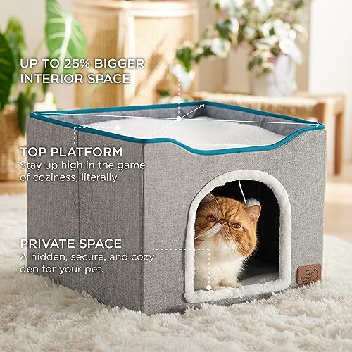 Cat Beds for Indoor