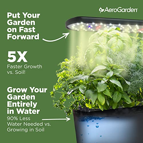 Hydroponic Garden