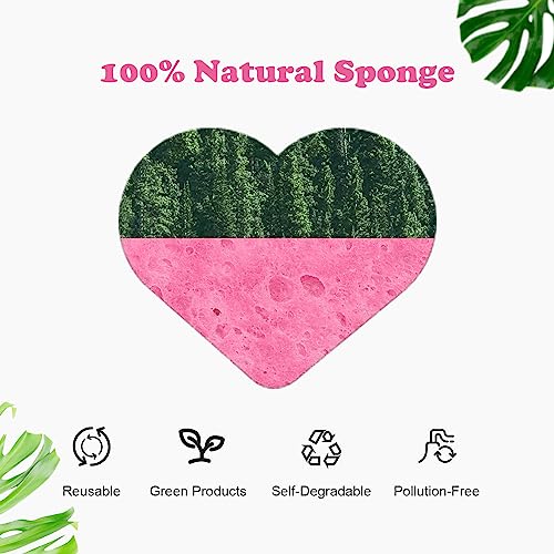 Heart Compressed Facial Sponges