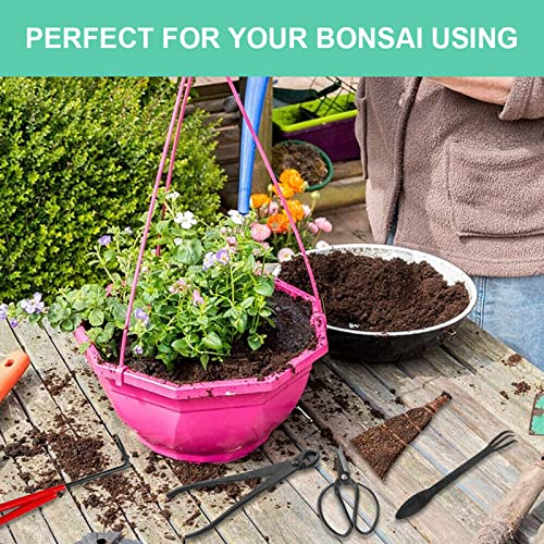 Bonsai Tools Kit with Case