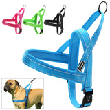 Dog Harness - Spoiled Store 